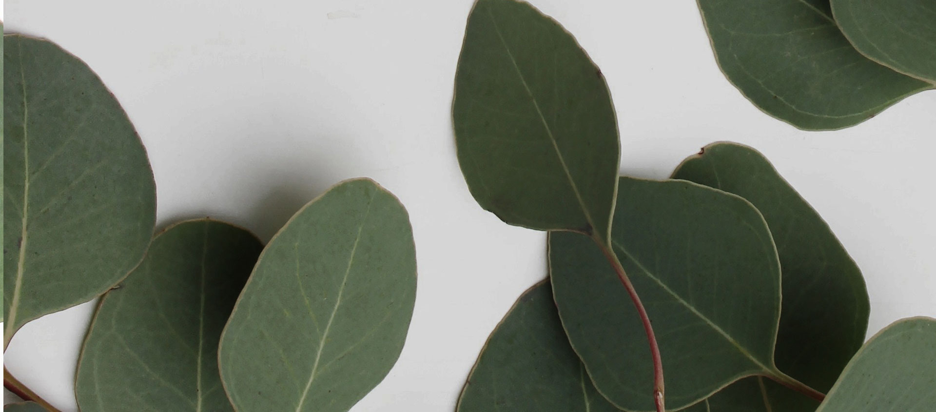 Взыскание ущерба от экологических правонарушений в Белой Глине